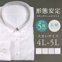 【選べる5枚セット★9,900円】ワイシャツ 大きいサイズ 4L 5L メンズ 長袖 ボタンダウン セミワイドカラー 形態安定 Yシャツ カッターシャツ クール...
