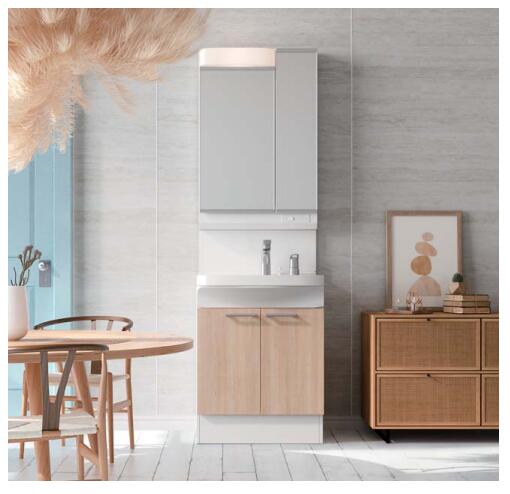 ★タカラスタンダード 洗面化粧台 ウィット Wit 間口 60cm 600mm 扉タイプ ホーロボウル シングルレバー式シャワー水栓 2面鏡コートあり【送料無料...