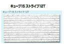 ★吉野石膏 ソーラトン 不燃軒天 キューブ15 ストライプ12T【NT15-12】 ロックウール 化粧吸収音板 天井板 (300×600mm)厚さ15mm 18...