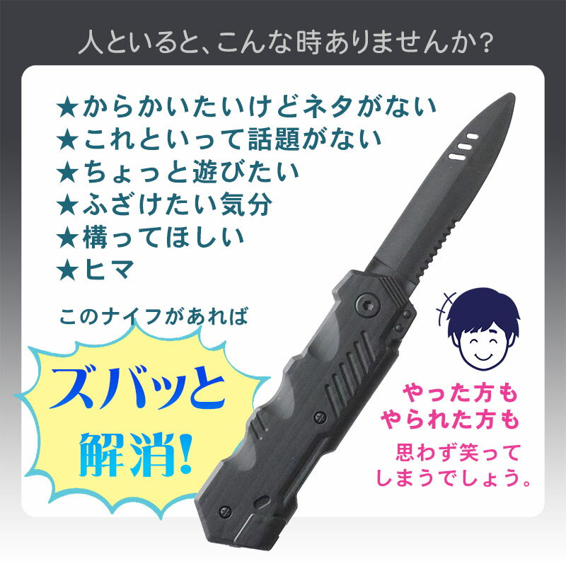 【送料無料】【2個セット】SHENKEL 遊べ...の紹介画像3