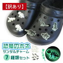 【訳あり】【お値打ち】【メール便可】LT 恐竜 骨 光る サンダルチャーム 7種セット 白 黒 靴用 アクセサリー 飾り ボタン 男の子 女の子 可愛い ジュラ...