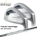 RAZZLE DAZZLE(Y_Y)/CSI-CC FORGED ACA/6{Zbg(5I`PW)/AMT_TOUR_WHITE/AMTcA[zCg/TRUE_TEMPER/JX^Nu