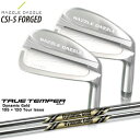 RAZZLE DAZZLE(ラズルダズル)/CSI-S FORGED アイアン/4本セット(7I～PW)/Dynamic_Gold/105/120/TOUR_ISSUE/ツアーイシュー(USモデル)/TRUE_TEMPER/カスタムクラブ