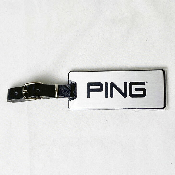 ピン PING ネームプレート 非売品 シルバー ネームタグ 名札 刻印サービス