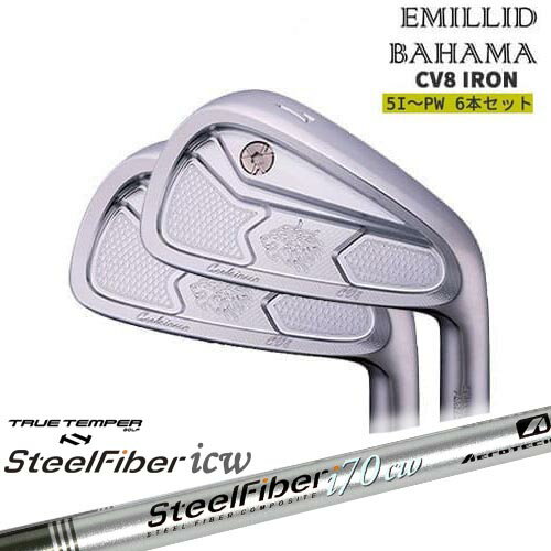 エミリッドバハマ Carlvinson CV8 IRON #5〜PW(6本セット) EMILLID BAHAMA アイアン スチールファイバーi(テーパー) SteelFiberTRUE TEMPER[5P]