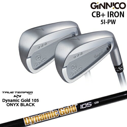 ڹ˼GINNICO ˥ CB+ IRON  6set[5P]󥹥ݡEON_SPORTS DynamicGold105 ONYX...