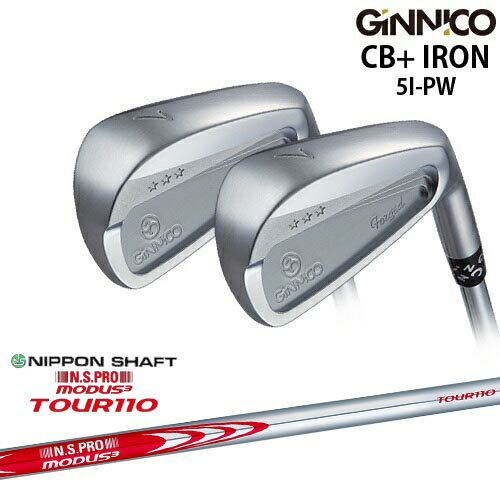 ڹ˼GINNICO ˥ CB+ IRON  6set[5P]󥹥ݡEON_SPORTS N.S.PRO M...