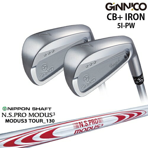 ڹ˼GINNICO ˥ CB+ IRON  6set[5P]󥹥ݡEON_SPORTS N.S.PRO M...