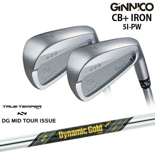 ڹ˼GINNICO ˥ CB+ IRON  6set[5P]󥹥ݡEON_SPORTS Dynamic Gold MID TO...