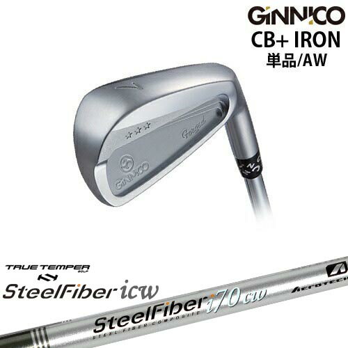 GINNICO ジニコ CB+ IRON アイアン単品（AW）[IR]イオンスポーツEON_SPORTS スチールファイバーi(テー..