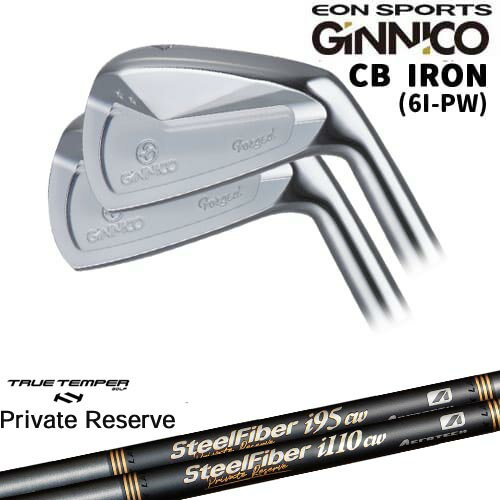【OVDカスタム】GINNICO ジニコ CB IRON アイアン5本set(6I-PW)[6P]イオンスポーツEON_SPORTS SteelFiberiシリーズ SteelFiber Private Reserve トゥルーテンパー