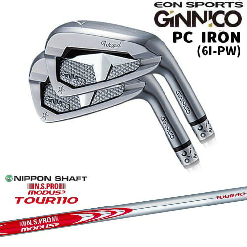 OVDGINNICO ˥ PC IRON 5set(6I-PW)[6P]󥹥ݡEON_SPORTS N.S...