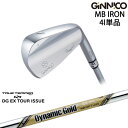 yH[JX^zGINNICO WjR MB IRON ACAPi 4(4I)[IR]CIX|[cEON_SPORTS DynamicGoldEX TOUR ISSUE cA[CV[TRUE TEMPER