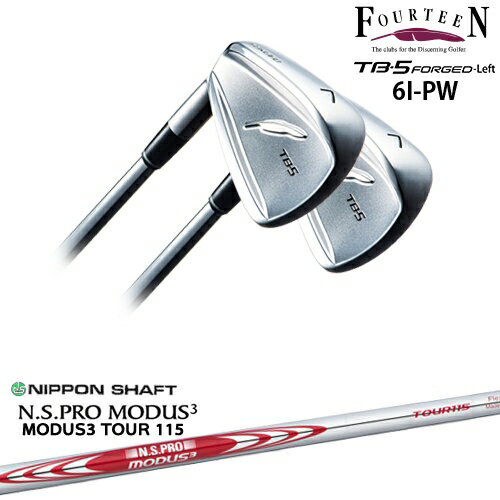 ڹ˼ TB-5 FORGED LEFTʺѡ˥5set[6P]եƥFOURTEEN N.S PRO MODU...