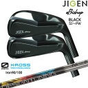 【在庫品即納】JIGEN eBishop イービショップ 限定ブラック ジゲン アイアン6本セット(5I〜PW) 特約店限定 ZERO XROSS IRON ア...