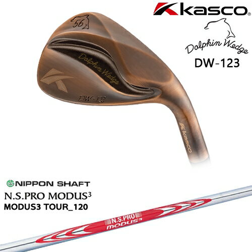 OVDۥɥե󥦥å DW-123 åѡ å[WD]㥹KASCO N.S.PRO MODUS3 ܥե