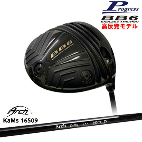 BB6 HICT ȿȯ ɥ饤С[DW]ץ쥹Progress 16509 ARCH GOLF եѥ