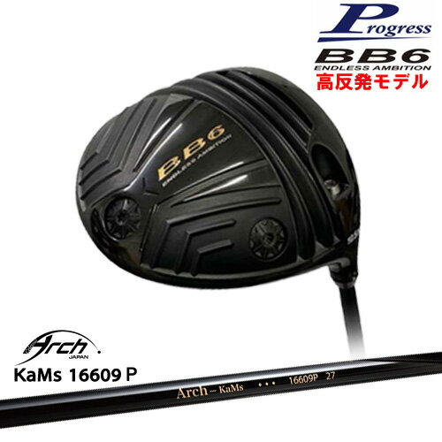 BB6 HICT ȿȯ ɥ饤С[DW]ץ쥹Progress 16609P ARCH GOLF եѥ