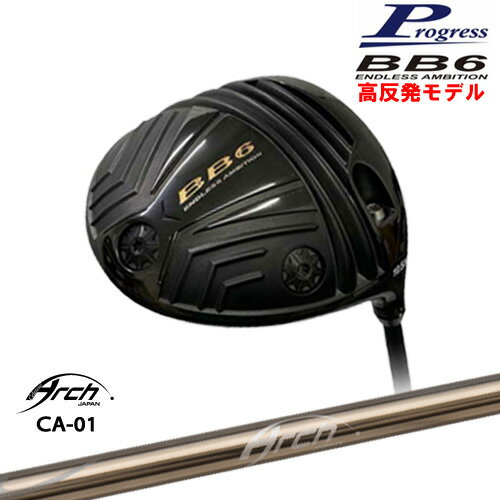 BB6 HICT ȿȯ ɥ饤С[DW]ץ쥹Progress CA-01 ARCH GOLF եѥ
