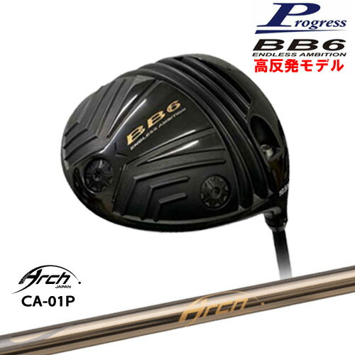 BB6 HICT ȿȯ ɥ饤С[DW]ץ쥹Progress CA-01P ARCH GOLF եѥ