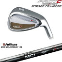 【OVDカスタム】PROTOCONCEPT FORGED CB WEDGE ウェッジ WD プロトコンセプトPROTOCONEPT MCI SOLID MILD 125 Fujikura フジクラ