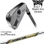 PXG 0317 T ץ졼䡼6set(6I-GW) CHROME[6G]ԡåPXG DynamicGoldEX TOUR ISSUE ĥ塼TRUE TEMPER