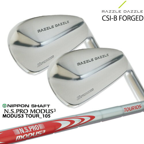 RAZZLE DAZZLE CSI-B FORGED 饺  6ܥå(5IPW) SRIXON N.S.PRO_MOD...