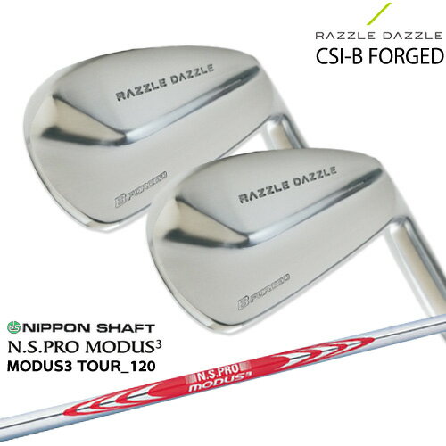 RAZZLE DAZZLE CSI-B FORGED 饺  6ܥå(5IPW) SRIXON N.S.PRO_MOD...