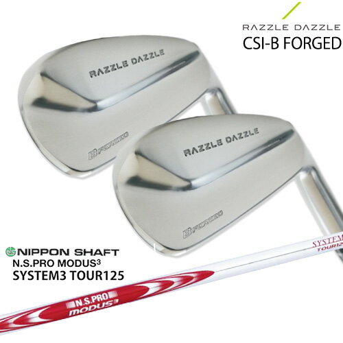 RAZZLE DAZZLE CSI-B FORGED 饺  6ܥå(5IPW) SRIXON N.S.PRO_MOD...