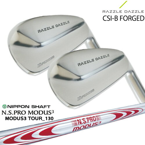 RAZZLE DAZZLE CSI-B FORGED 饺  6ܥå(5IPW) SRIXON N.S.PRO_MOD...
