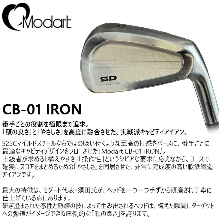 カスタムクラブ工房 OVDGOLFの【OVDカスタム】Modart CB-01 IRON アイアン6本set(5I-PW)[5P]モダートMODART KBS C-TAPER｜アングル2