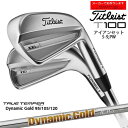 【受注生産】タイトリスト T100 アイアン 6本セット 5I～PW 2023年モデル Titleist/DYNAMIC GOLD95/105/120/トゥルーテンパー/メーカーカスタム