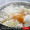 送料無料 新米 令和2年産 千葉県産 ふさこがね 24kg(8kg×3袋) 米 白米 1等米 お米 コメ【別途送料加算地域あり】