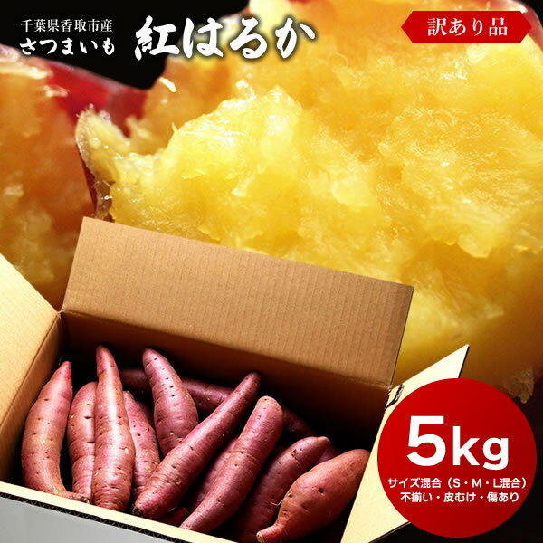 訳あり さつまいも 紅はるか 5kg S・M・L混合 送料無料 サツマイモ さつま芋 千葉県産 国産 ※2023年産は夏の酷暑の影響で芋の中心が白くなってしまうものが含まれております。