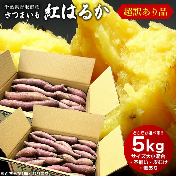 【ふるさと納税】【秋の味覚を食べ比べ♪】冷凍焼き芋セット計1.4kg（安納いも/紅はるか/シルクスイート/一口蜜いも）いも 甘い おいしい とろとろ 五島市 / 芋蔵林 [PDO002]