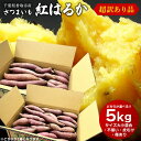 超訳あり さつまいも 紅はるか 5kg 送料無料 サツマイモ さつま芋 千葉県産 国産※甘さ控えめでホクホク系のものが混じります。