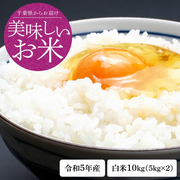 新米 米 10kg（5kg×2）送料無料 ふさこがね 令和5年産 千葉県産 単一原料米 白米 一等米 1等米 お米 コメ おこめ 令和5年 こめ