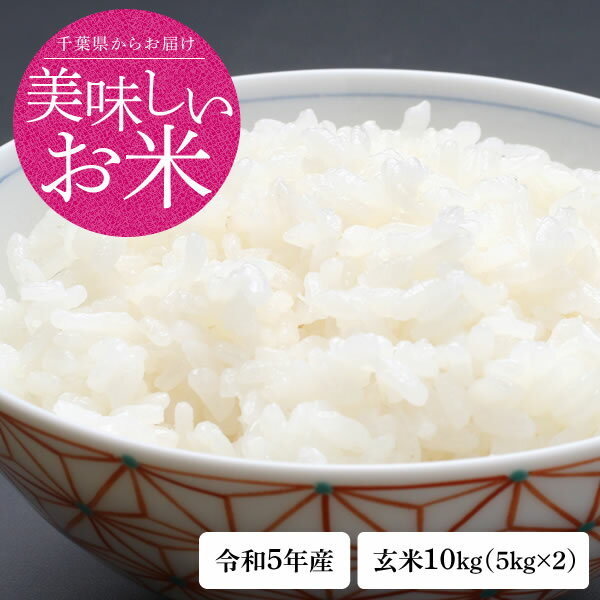 新米 米 10kg 送料無料 コシヒカリ 令和5年産 千葉県産 玄米 10kg 1等米 お米 コメ 