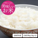 新米 お米 米 令和5年 千葉県産 コシヒカリ 白米 10kg 1等米 【お米】 【こしひかり】 【米】 【コメ】