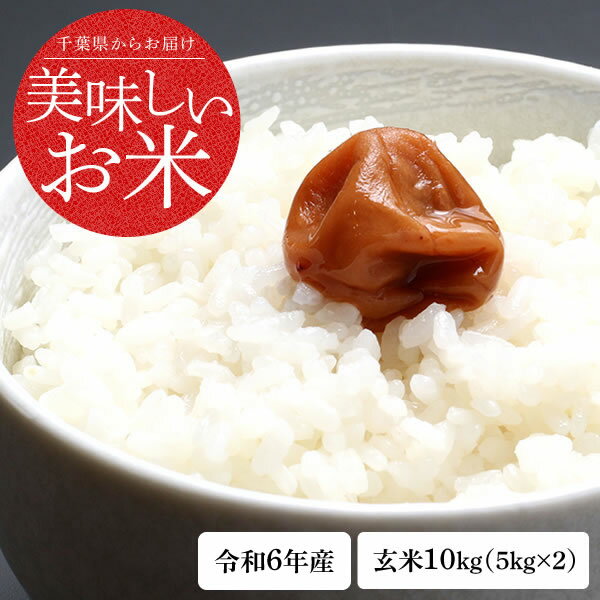 新米 米 10kg 送料無料 あきたこまち 令和5年度 千葉県産 玄米 10kg 1等米 お米 コメ 精米 無料 米 10kg 令和5年 こめ おこめ 白米のサムネイル