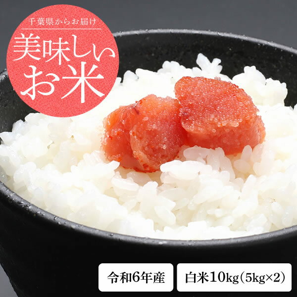 新米 令和5年産 千葉県産 ふさおとめ 白米 10kg（5kg×2） 1等米【お米】【米】【コメ】【精米】【米 10kg 送料無料】のサムネイル