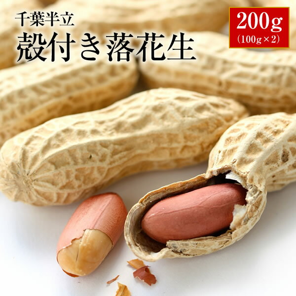 2023年産 1000円 送料無料 天日干し 千葉県産 千葉半立 から付落花生 200g(100g×2)【お試し品】 ALL￥1..