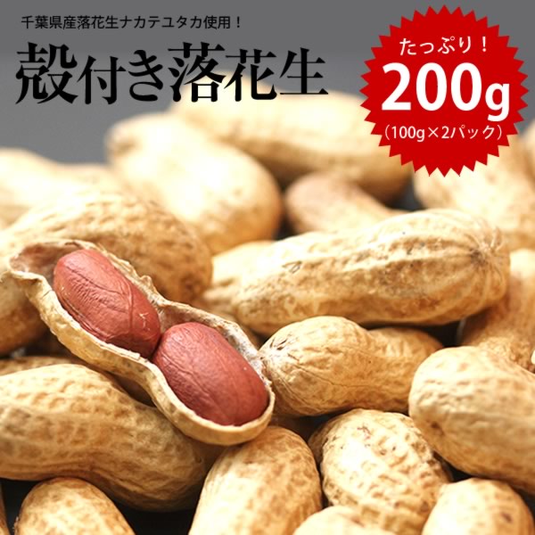 2023年 千葉県産 ナカテユタカ 殻付き落花生【送料無料】【お試し品】 【ALL￥1000】 落花生 200g（100g×2）ピーナッ…