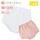 レディース ショーツ ズロース 綿100% 2枚組 M L LL 名前記入欄付 裾部分 ゴム 入り 女性 シニア 高齢者