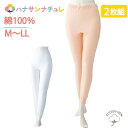 下着 レディース 綿 スラックス下 タイツ 厚地 2枚組 秋冬 M L LL コットン 綿100% 介護下着 裾口ゴム インナー 介護シャツ 介護肌着 高齢者 女性 婦人 用 シニア