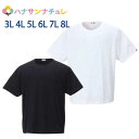 下着 インナー 肌着 メンズ 大きいサイズ 2枚セット クルーネック 半袖 Tシャツ EDWIN 3L 4L 5L 6L 7L 8L 大きめ ビッグサイズ big サイズ メンズ 紳士 用 男性 マンチェス