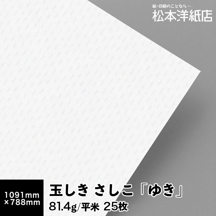 乐天商城 - 【送料実費】玉しき さしこ「ゆき」81.4g/平米 0.12mm 全紙 1091×788mm 25枚, 和風 紙 和柄 印刷用紙 印刷紙 おしゃれ ファインペーパー メッセージ カード はがき 名刺 刺し子柄 画用紙