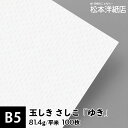 玉しき さしこ「ゆき」81.4g/平米 0.12mm B5サイズ：100枚, 和風 紙 和柄 印刷用紙 印刷紙 和紙 色紙 いろがみ おしゃれ ファインペーパー メッセージ カード はがき 名刺 案内状 招待状 封筒 画用紙 松本洋紙店 法人 仕入れ 見積もり 掛売 納品書 請求書 後払い 請求書払い