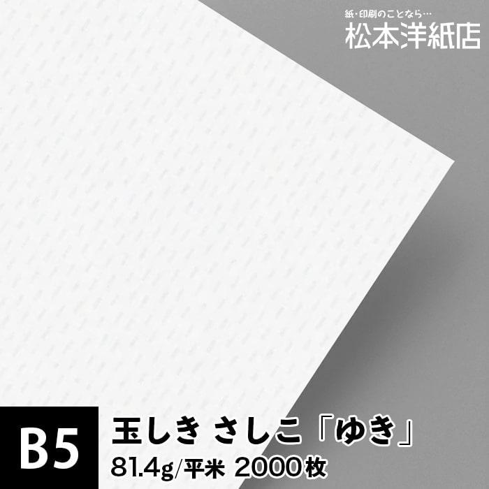 玉しき さしこ「ゆき」81.4g/平米 0.12mm B5 2000枚, 和風 紙 和柄 印刷用紙 印刷紙 和紙 色紙 いろがみ おしゃれ ファインペーパー メッセージ カード はがき 名刺 案内状 招待状 封筒 画用紙