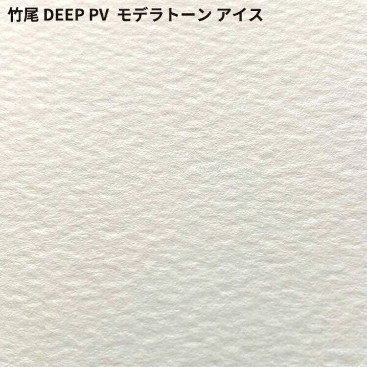 竹尾 DEEP PV モデラトーン アイス A3ノビ 329×483